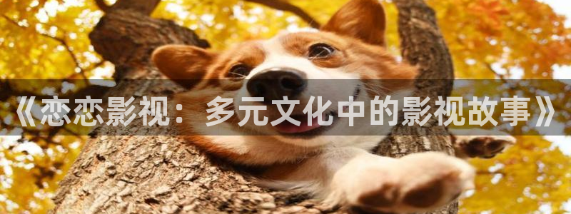 玖玖視頻免費：《戀戀影視：多元文化中的影視故事》