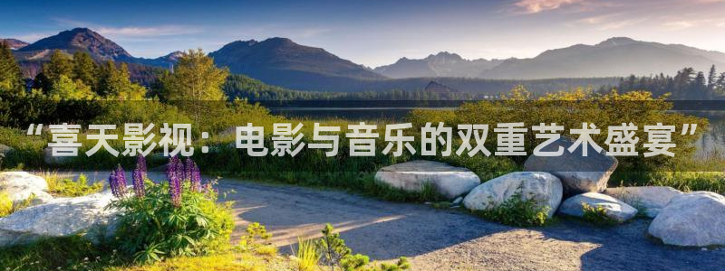 玖玖在線更新視頻：“喜天影視：電影與音樂的雙重藝術盛宴”