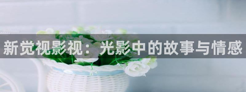 玖玖99視頻：新覺視影視：光影中的故事與情感